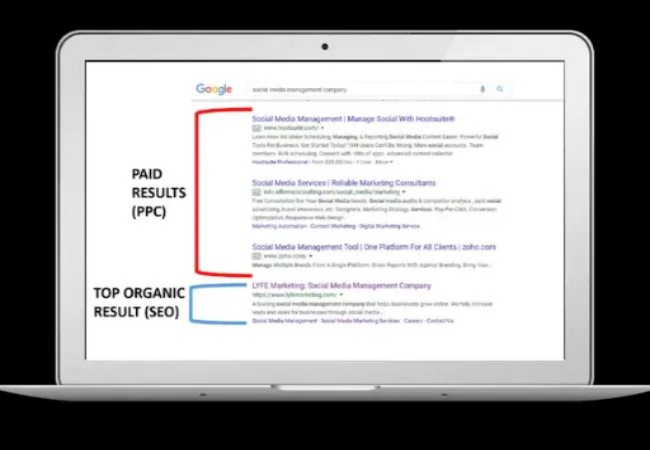eCommerce PPC Result