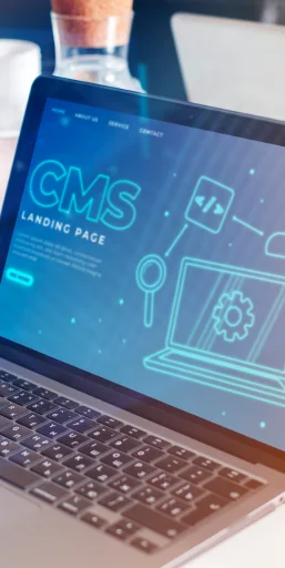 WordPress Development Services